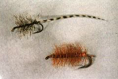 K48 - Ken's Orange - Wooly Booger - 2 for $5